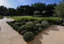 jardin provençal à Saint - Cannat , massif de lavandes , romarins , santolines ...
