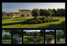 Création d'un Jardin Provençal à Saint - Cannat ( 13 )